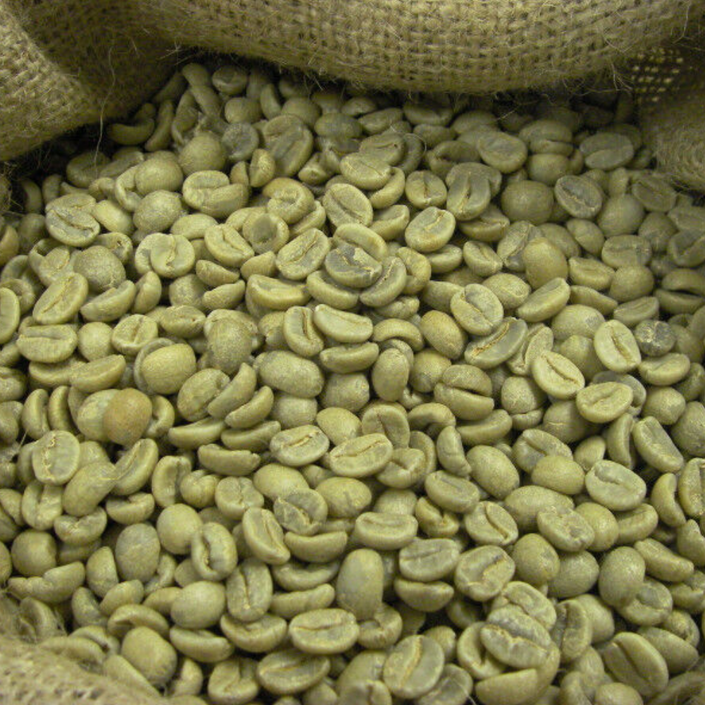 Arabica Green Coffee Beans 1 bag sorted unwashed | Wholesale | High-Quality (per 1kg)