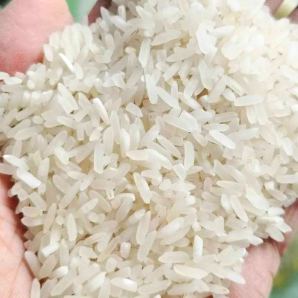 Jasmine Denorado Rice 3 Sacks | Wholesale | High-Quality (3 x 25kg)